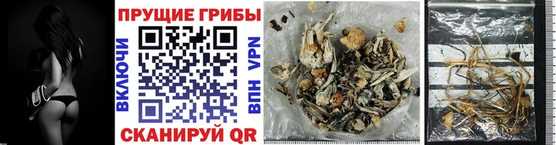 купить наркоту  Оленегорск  Галлюциногенные грибы Magic Shrooms 